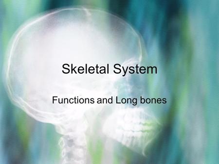 Skeletal System Functions and Long bones. Functions 1.Framework –The bones form a framework to support the body’s muscles, fat, and skin.