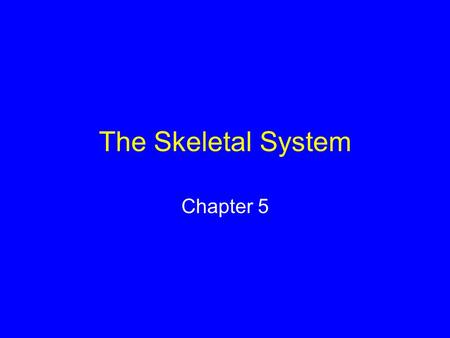 The Skeletal System Chapter 5. Long-Bone Structure Compact bone Spongy bone Central cavity contains yellow marrow.