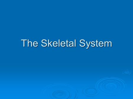 The Skeletal System. Functions of the Skeletal System  Provides a framework for the muscles.  Supports and protects organs.  Storage centers.  Manufacture.