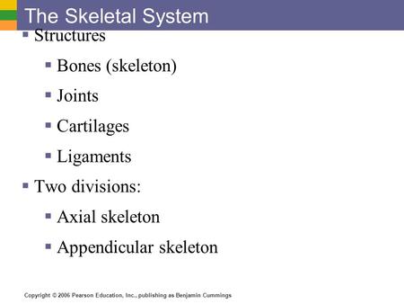 Copyright © 2006 Pearson Education, Inc., publishing as Benjamin Cummings The Skeletal System  Structures  Bones (skeleton)  Joints  Cartilages  Ligaments.