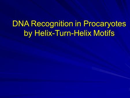 DNA Recognition in Procaryotes by Helix-Turn-Helix Motifs.