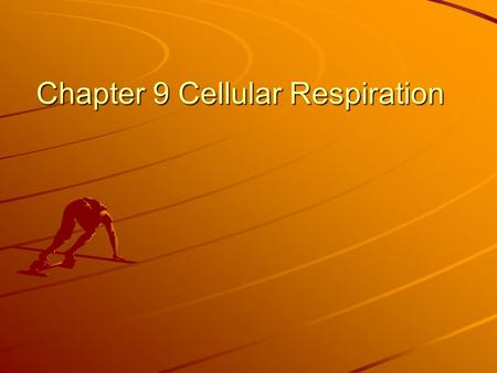 Chapter 9 Cellular Respiration. What is cellular respiration? The process that releases energy (ATP) by breaking down food molecules in the presence of.