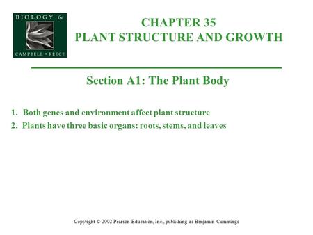 CHAPTER 35 PLANT STRUCTURE AND GROWTH Copyright © 2002 Pearson Education, Inc., publishing as Benjamin Cummings Section A1: The Plant Body 1.Both genes.