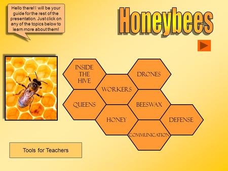 Honeybees Tools for Teachers