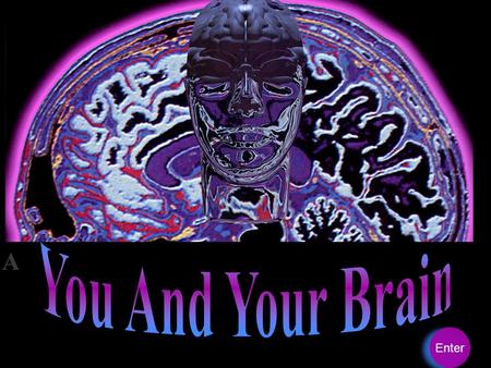 You And Your Brain Enter.