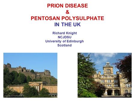 PRION DISEASE & PENTOSAN POLYSULPHATE IN THE UK Richard Knight NCJDSU University of Edinburgh Scotland.