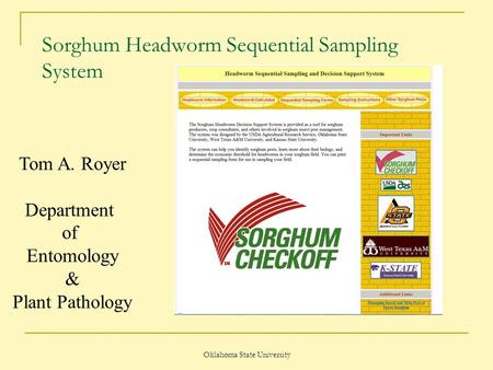 Oklahoma State University Sorghum Headworm Sequential Sampling System Tom A. Royer Department of Entomology & Plant Pathology.