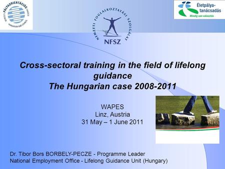 Cross-sectoral training in the field of lifelong guidance The Hungarian case 2008-2011 WAPES Linz, Austria 31 May – 1 June 2011 Dr. Tibor Bors BORBELY-PECZE.