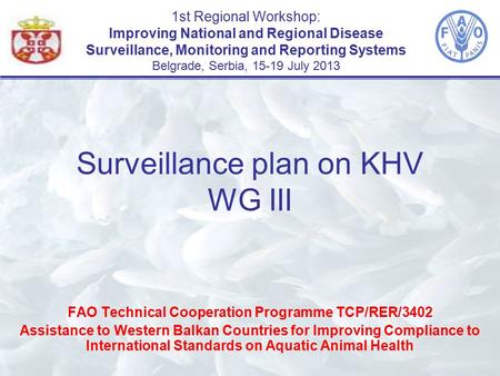 1st Regional Workshop: Improving National and Regional Disease Surveillance, Monitoring and Reporting Systems Belgrade, Serbia, 15-19 July 2013 FAO Technical.