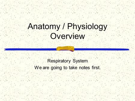 Anatomy / Physiology Overview Respiratory System We are going to take notes first.