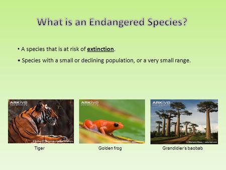 What is an Endangered Species?