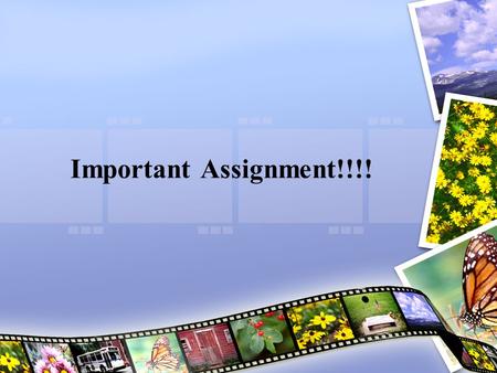 Important Assignment!!!!.