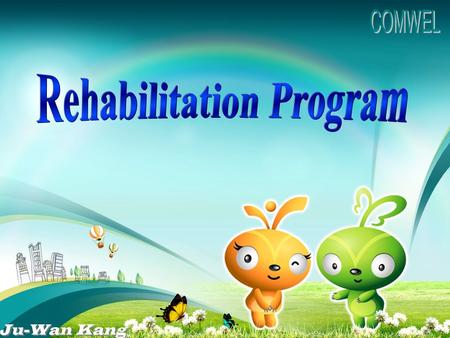 History Rehabilitation Counseling Support Programs Statistical Review I I II III IV.