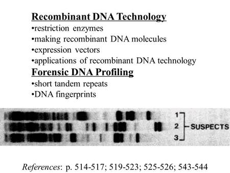 Recombinant DNA Technology restriction enzymes making recombinant DNA molecules expression vectors applications of recombinant DNA technology Forensic.