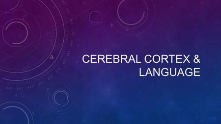CEREBRAL CORTEX & LANGUAGE. ORGANIZATION OF THE COURSE Spinal Cord Brainstem/ Cerebellum Sensory Pathways Cerebrum Motor Pathways Cranial Nerves Other.