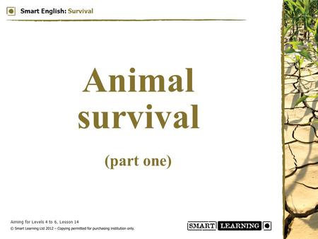Aiming for Levels 4 to 6, Lesson 14 Smart English: Survival Animal survival (part one)