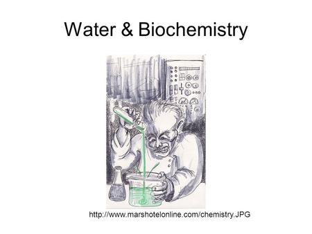 Water & Biochemistry