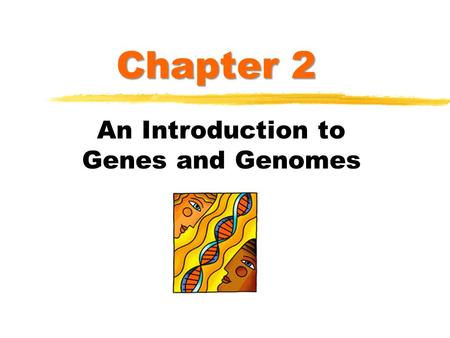 Chapter 2 An Introduction to Genes and Genomes. Introduction to Molecular Biology.