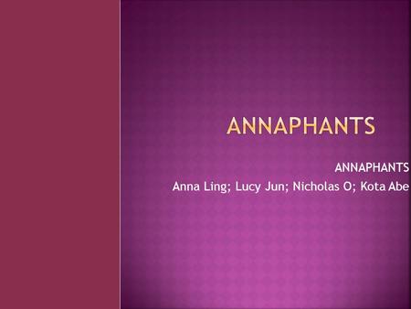 ANNAPHANTS Anna Ling; Lucy Jun; Nicholas O; Kota Abe.
