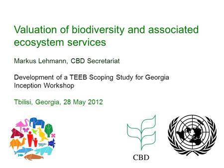 Valuation of biodiversity and associated ecosystem services Markus Lehmann, CBD Secretariat Development of a TEEB Scoping Study for Georgia Inception Workshop.