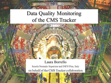 Data Quality Monitoring of the CMS Tracker
