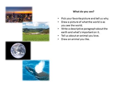 What do you see? Pick your favorite picture and tell us why. Draw a picture of what the world is as you see the world. Write a descriptive paragraph about.