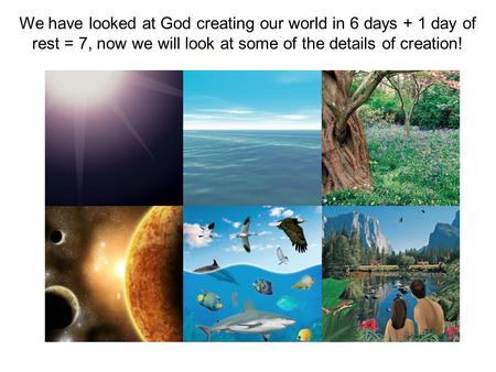 We have looked at God creating our world in 6 days + 1 day of rest = 7, now we will look at some of the details of creation!