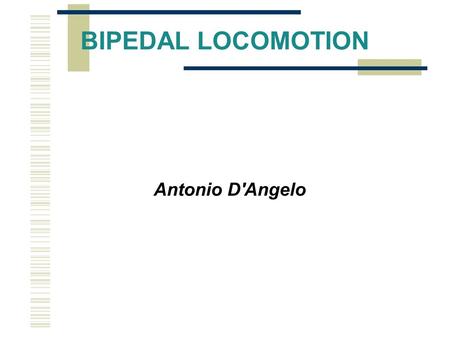 BIPEDAL LOCOMOTION Antonio D'Angelo.
