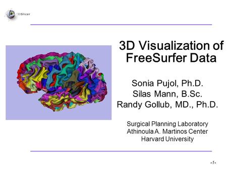 -1- Pujol S et al. National Alliance for Medical Image Computing 3D Visualization of FreeSurfer Data Sonia Pujol, Ph.D. Silas Mann, B.Sc. Randy Gollub,