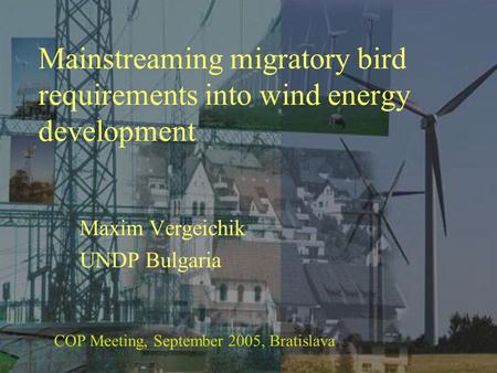 Mainstreaming migratory bird requirements into wind energy development Maxim Vergeichik UNDP Bulgaria COP Meeting, September 2005, Bratislava.