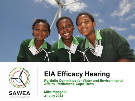 EIA Efficacy Hearing Portfolio Committee for Water and Environmental Affairs, Parliament, Cape Town Mike Mangnall 31 July 2013.