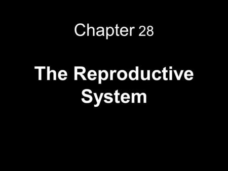 Chapter 28 The Reproductive System. 100 keys, pg. 1038 “Meiosis produces gametes that contain half the number of chromosomes found in somatic cells. For.