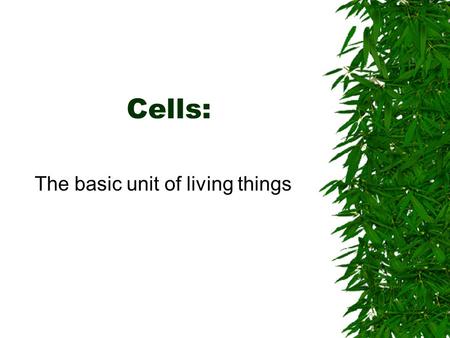 The basic unit of living things
