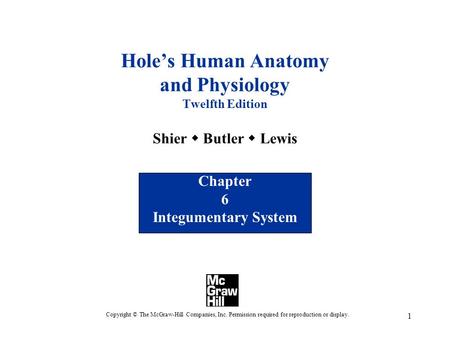 1 Hole’s Human Anatomy and Physiology Twelfth Edition Shier  Butler  Lewis Chapter 6 Integumentary System Copyright © The McGraw-Hill Companies, Inc.