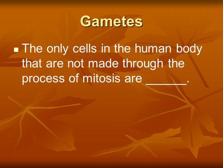 Gametes The only cells in the human body that are not made through the process of mitosis are ______.