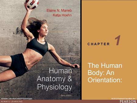 1 The Human Body: An Orientation:.