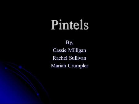 Pintels By, Cassie Milligan Rachel Sullivan Mariah Crumpler.