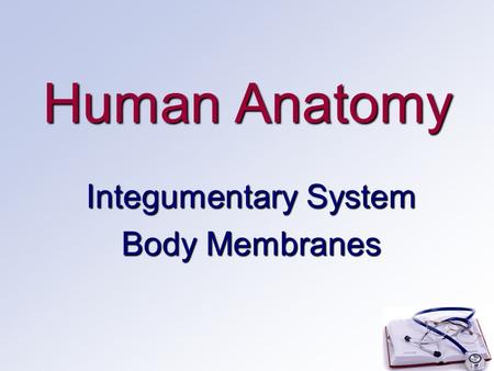 Integumentary System Body Membranes