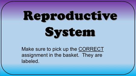 Reproductive System Make sure to pick up the CORRECT assignment in the basket. They are labeled.