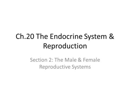 Ch.20 The Endocrine System & Reproduction