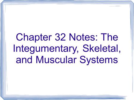 Chapter 32 Notes: The Integumentary, Skeletal, and Muscular Systems