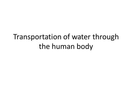 Transportation of water through the human body. Water is key to life. Humans can survive more than a month without food, but only a few days without water.