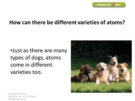 Copyright © Pearson Education, Inc., or its affiliates. All Rights Reserved. Just as there are many types of dogs, atoms come in different varieties too.