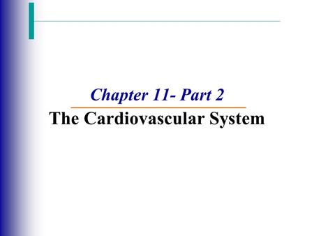 Chapter 11- Part 2 The Cardiovascular System