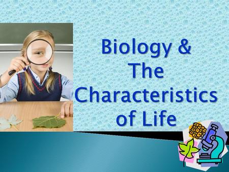 8 characteristics of life biology