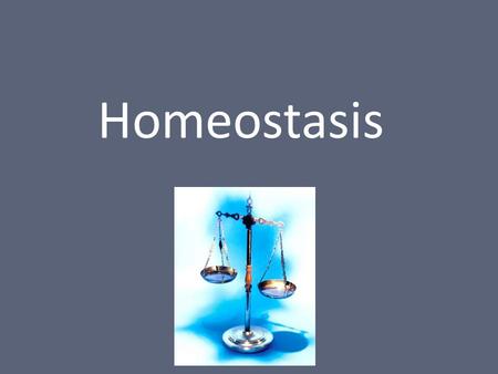 Homeostasis. What is Homeostasis? The ability to maintain constant internal physical and chemical conditions All living things must do this to survive.
