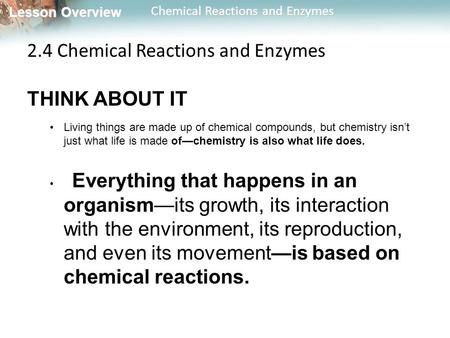 2.4 Chemical Reactions and Enzymes THINK ABOUT IT