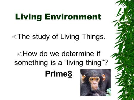 Living Environment Prime8 The study of Living Things.