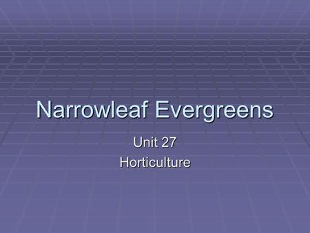 Narrowleaf Evergreens Unit 27 Horticulture. Features of evergreens  Generally remain green year-round  Are adaptable to various soil types & weather.