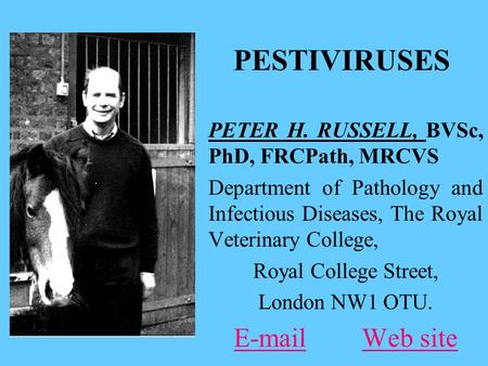 PESTIVIRUSES PETER H. RUSSELL, BVSc, PhD, FRCPath, MRCVS Department of Pathology and Infectious Diseases, The Royal Veterinary College, Royal College Street,
